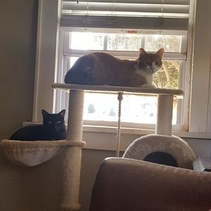 Meet your Posher, Terry